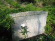 Ahrbeck, Rosemarie